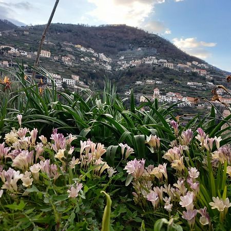 La Margherita Fiorita Ravello Bagian luar foto