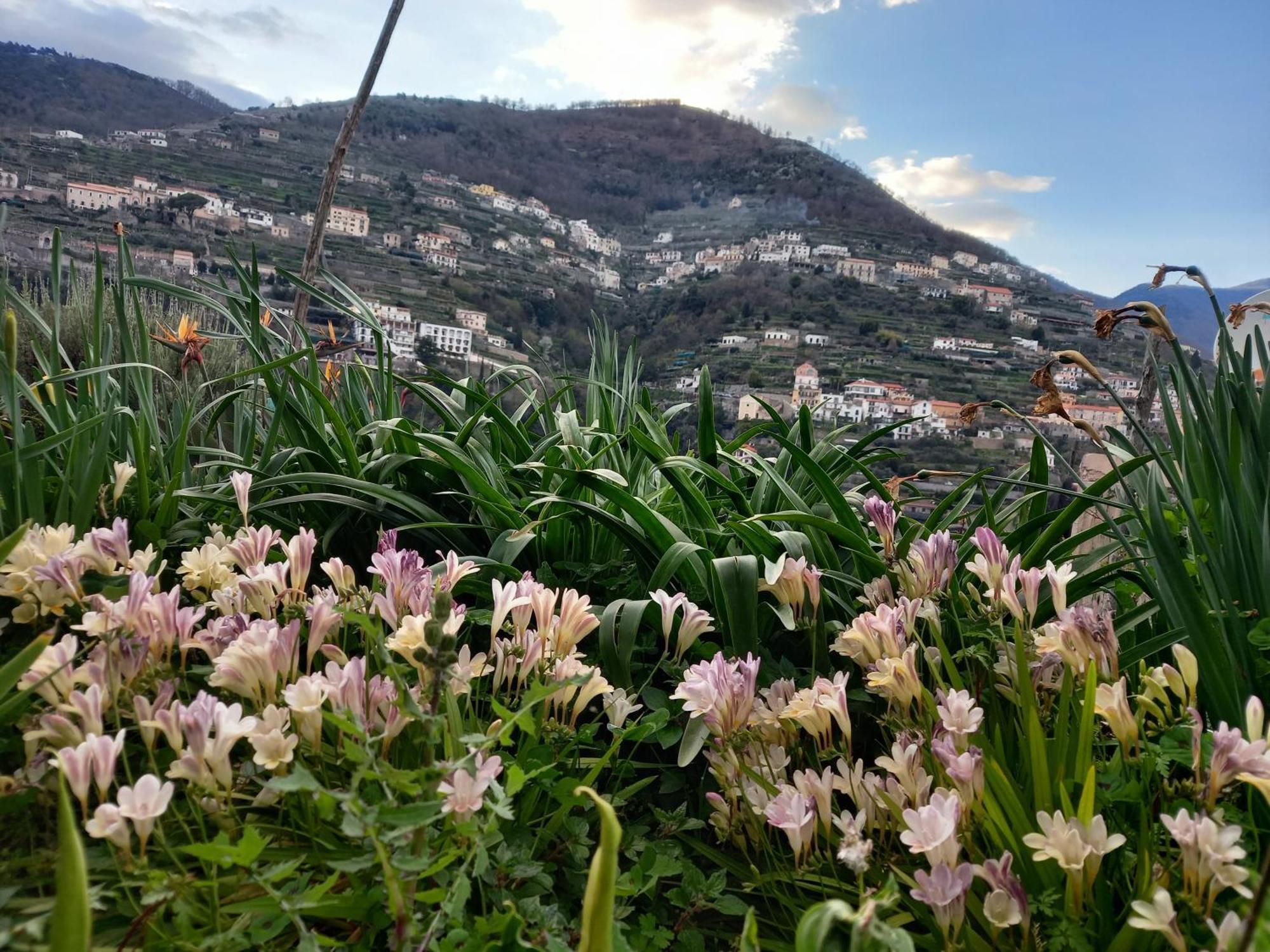 La Margherita Fiorita Ravello Bagian luar foto